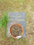image of grave number 654958